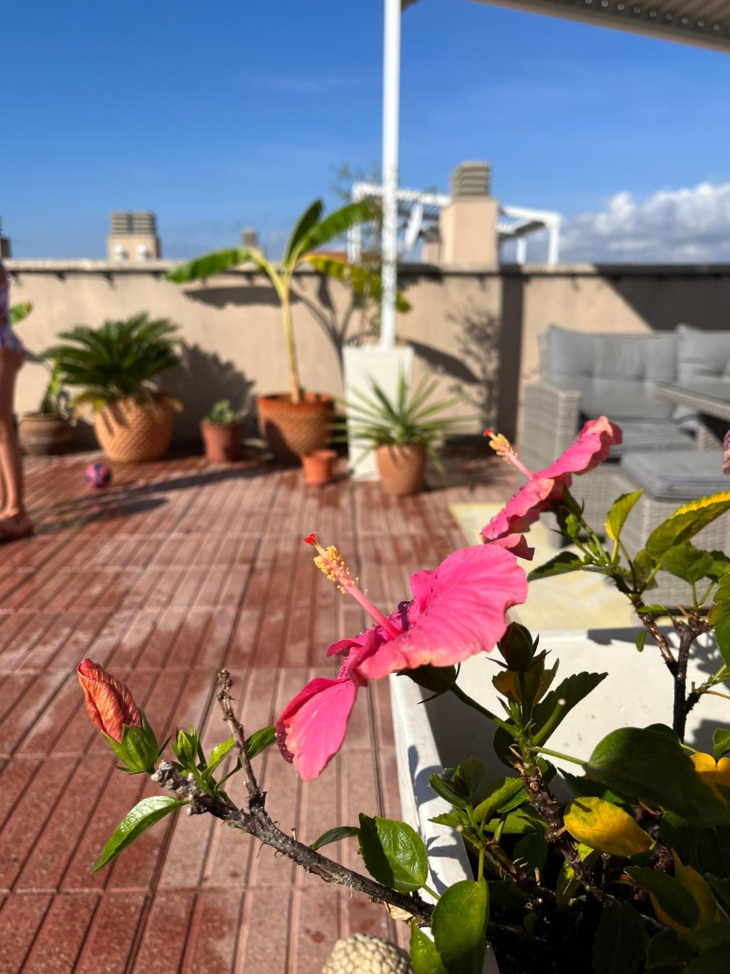 La Azotea Apartment กัมบริลส์ ภายนอก รูปภาพ